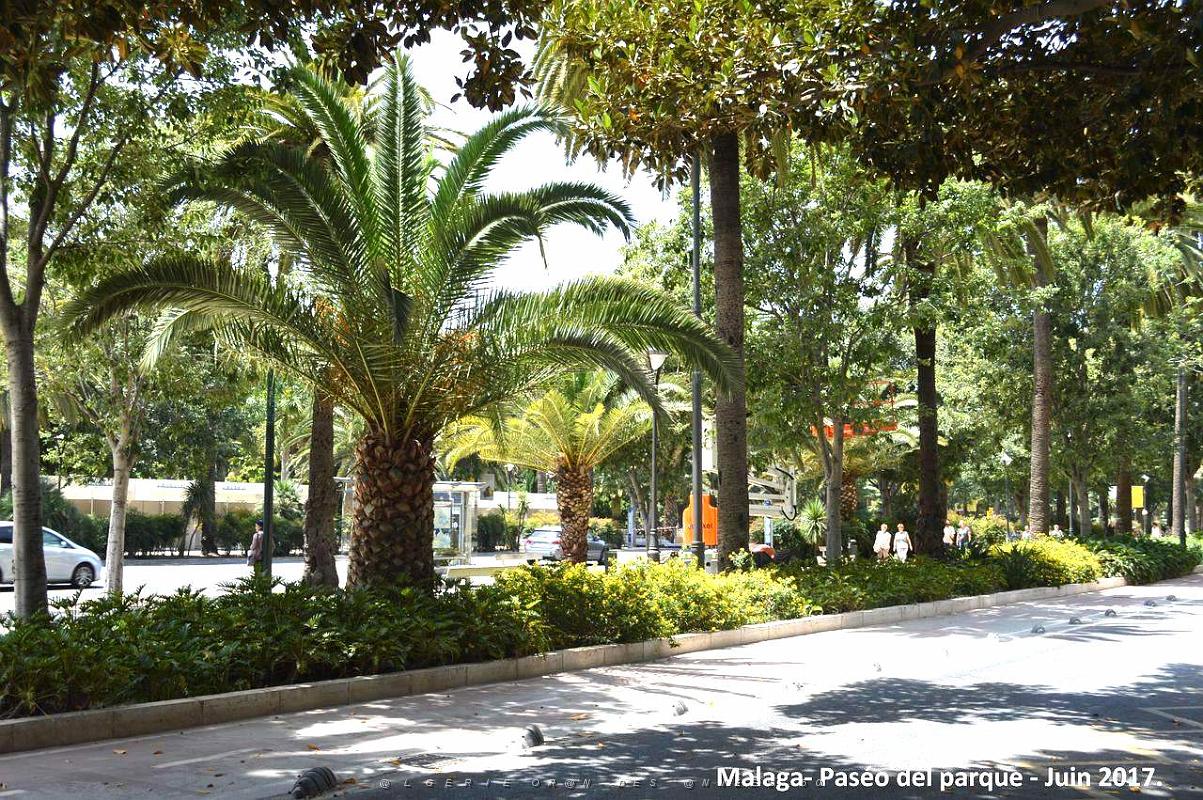 043- Malaga Avenida de Cervantes.JPG